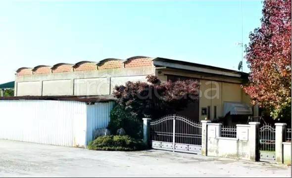 appartamento in vendita a Pozzoleone