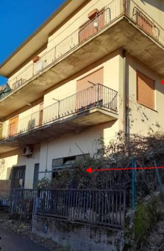 immagine annuncio 0 di 10