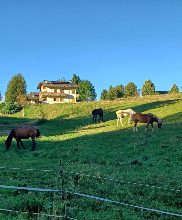 appartamento in vendita a Recoaro Terme