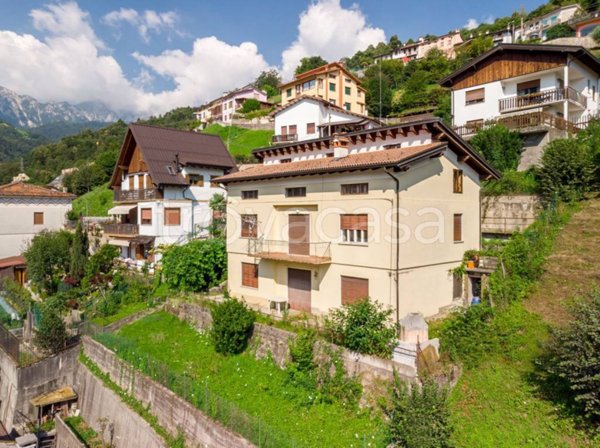 immagine annuncio 0 di 15