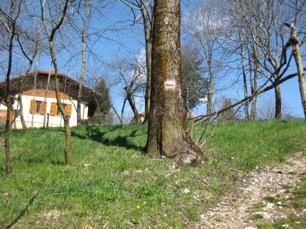 casa indipendente in vendita a Roana in zona Treschè Conca
