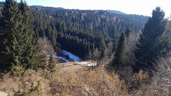 terreno agricolo in vendita a Roana in zona Cesuna