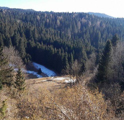 terreno agricolo in vendita a Roana in zona Cesuna