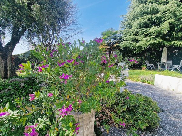 casa indipendente in vendita a Romano d'Ezzelino