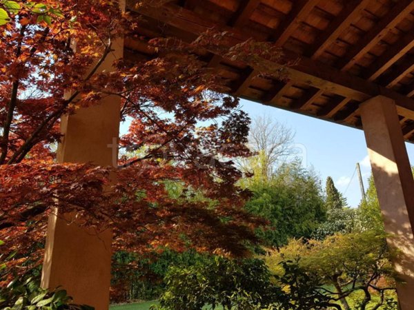casa indipendente in vendita a Romano d'Ezzelino