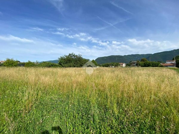 immagine annuncio 0 di 6