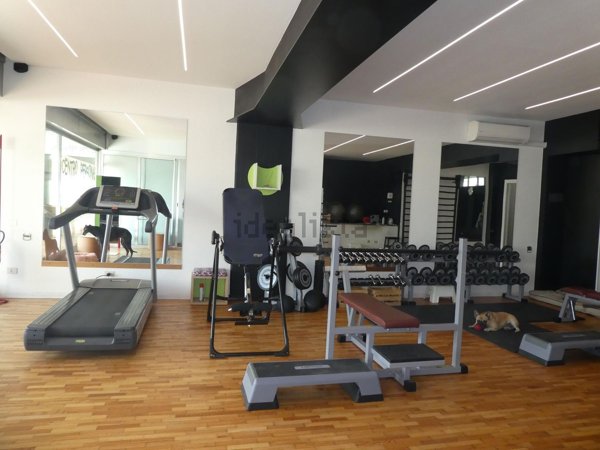 negozio in vendita a Romano d'Ezzelino