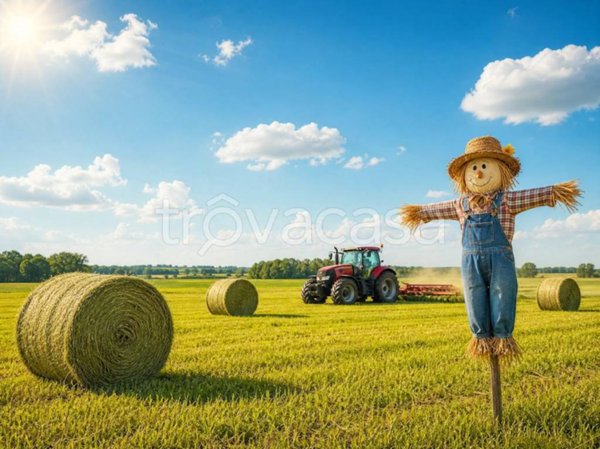 terreno agricolo in vendita a Romano d'Ezzelino