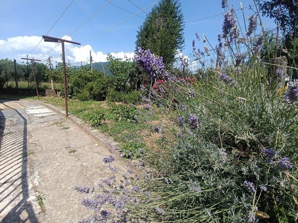 casa indipendente in vendita a Romano d'Ezzelino in zona Romano d'Ezzelino