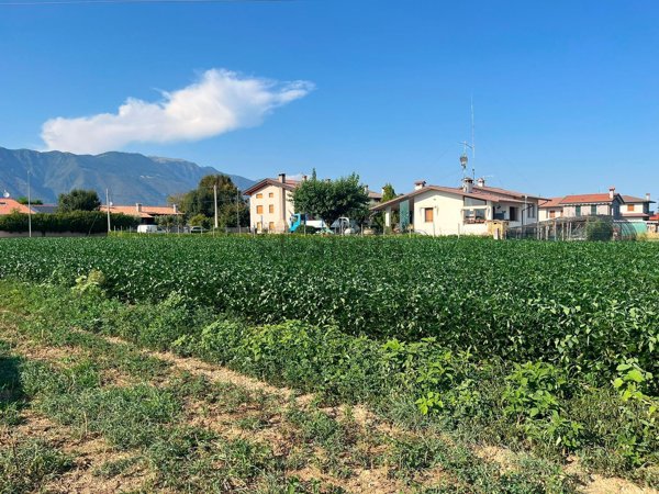 terreno agricolo in vendita a Romano d'Ezzelino in zona Fellette