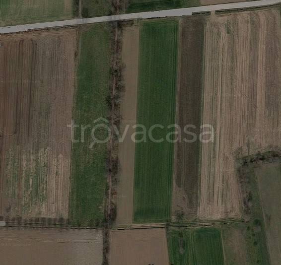 terreno agricolo in vendita a Rosà