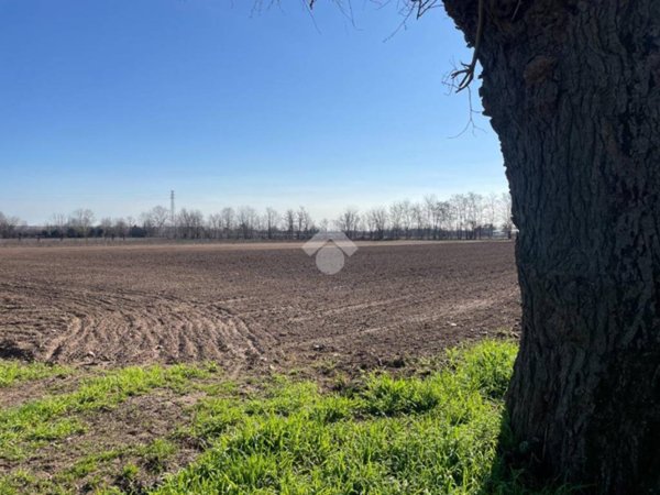 terreno agricolo in vendita a Rosà