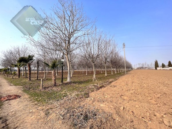 terreno agricolo in vendita a Rosà in zona San Pietro