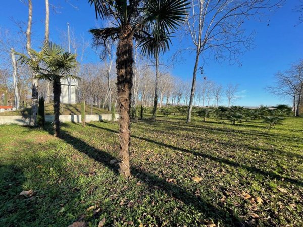 terreno agricolo in vendita a Rosà