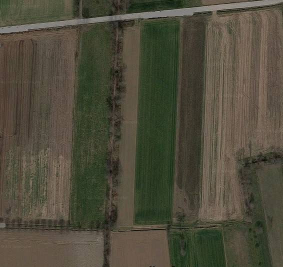 terreno agricolo in vendita a Rosà
