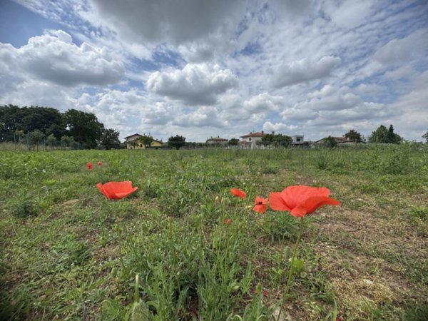terreno agricolo in vendita a Rosà