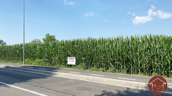 terreno agricolo in vendita a Rosà in zona San Pietro