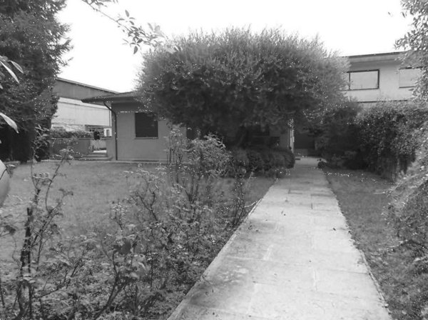 casa indipendente in vendita a Rosà