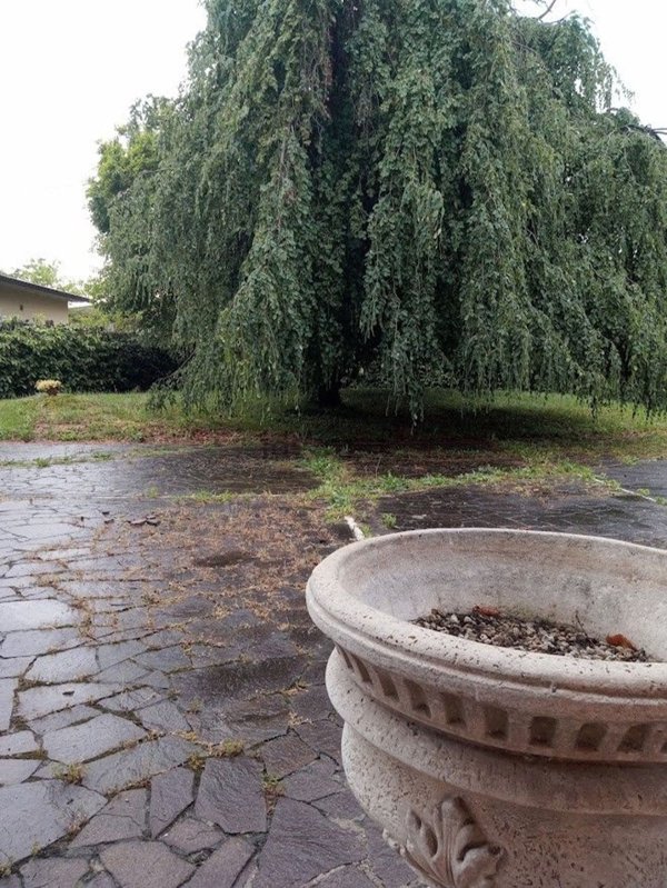 casa indipendente in vendita a Rosà