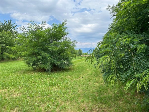appartamento in vendita a Rosà