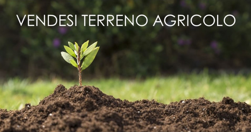 terreno agricolo in vendita a Rosà