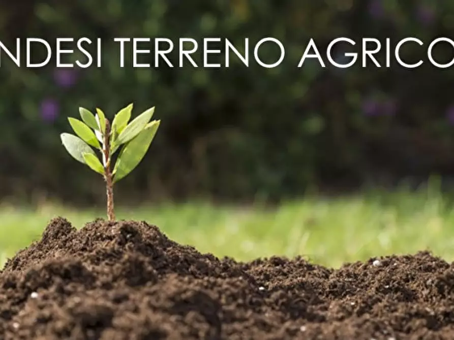 terreno agricolo in vendita a Rosà