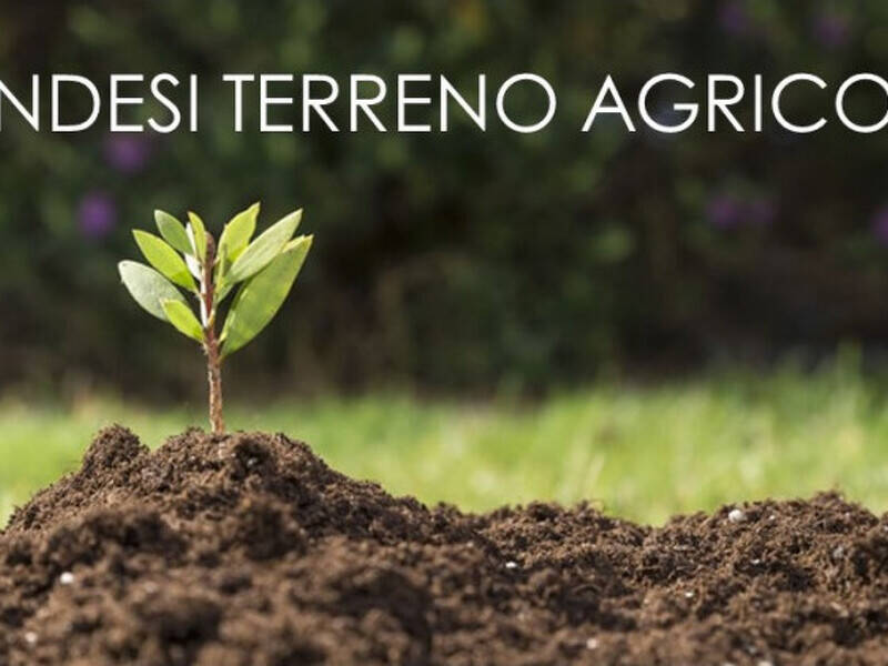 terreno agricolo in vendita a Rosà