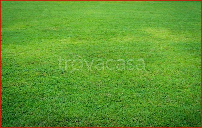 terreno edificabile in vendita a Rosà