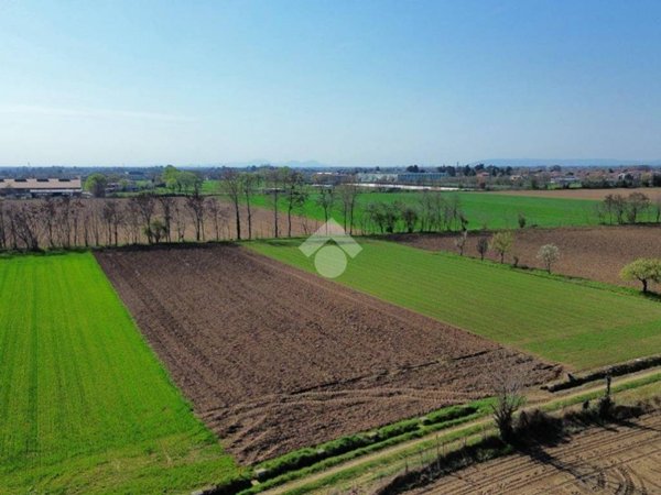 terreno agricolo in vendita a Rosà