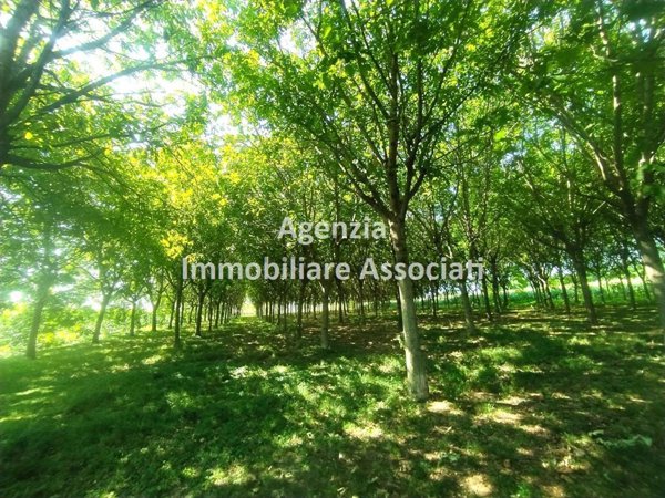 terreno edificabile in vendita a Rosà in zona San Pietro