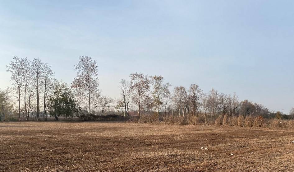 terreno agricolo in vendita a Rossano Veneto