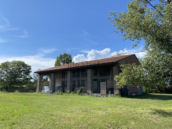 esavano in vendita a Rossano Veneto