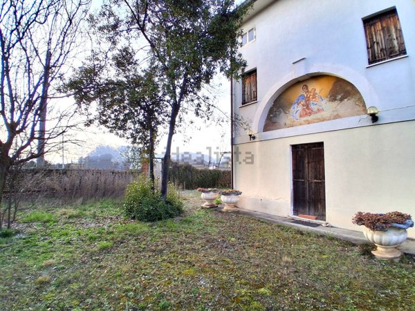 esavano in vendita a Rossano Veneto