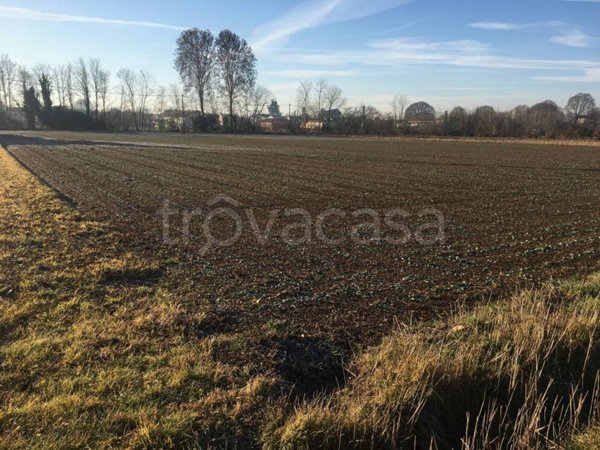 terreno agricolo in vendita a Rossano Veneto
