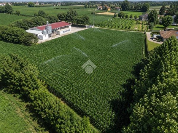 terreno in vendita a Rossano Veneto