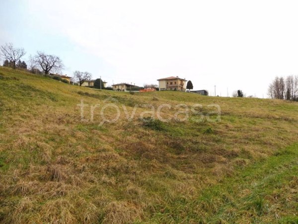 terreno agricolo in vendita a Salcedo