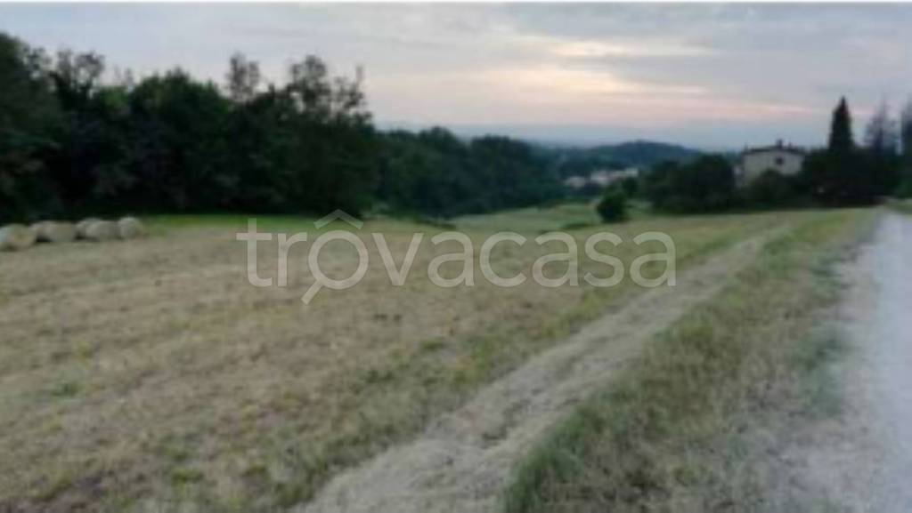 terreno agricolo in vendita a Salcedo