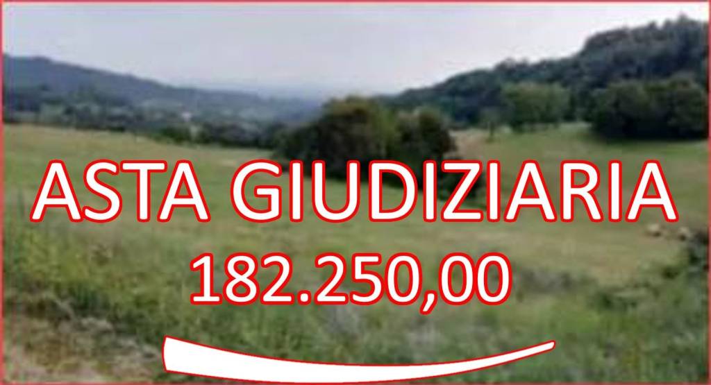 immagine annuncio 0 di 12