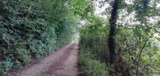 terreno agricolo in vendita a Salcedo