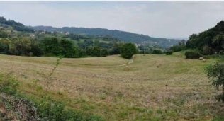 terreno agricolo in vendita a Salcedo