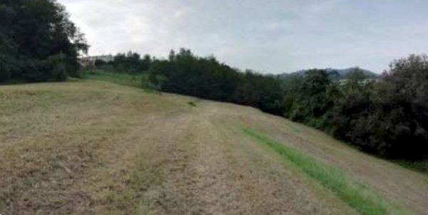 terreno agricolo in vendita a Salcedo