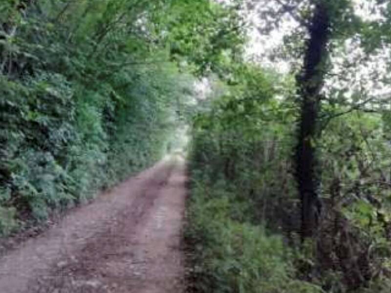 terreno agricolo in vendita a Salcedo