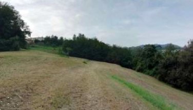 terreno agricolo in vendita a Salcedo