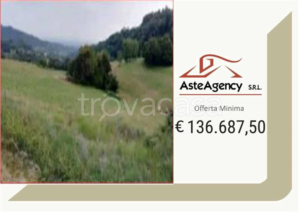 terreno agricolo in vendita a Salcedo