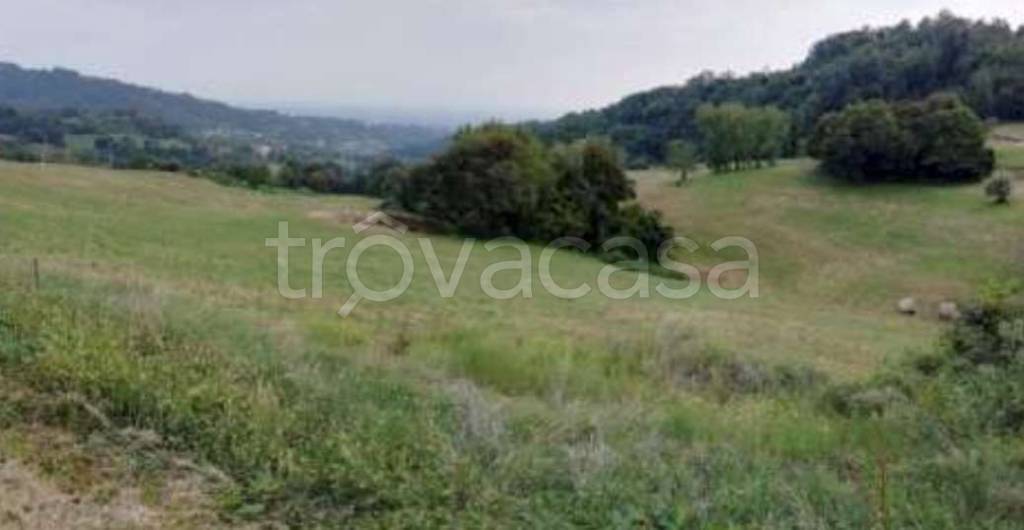 terreno agricolo in vendita a Salcedo