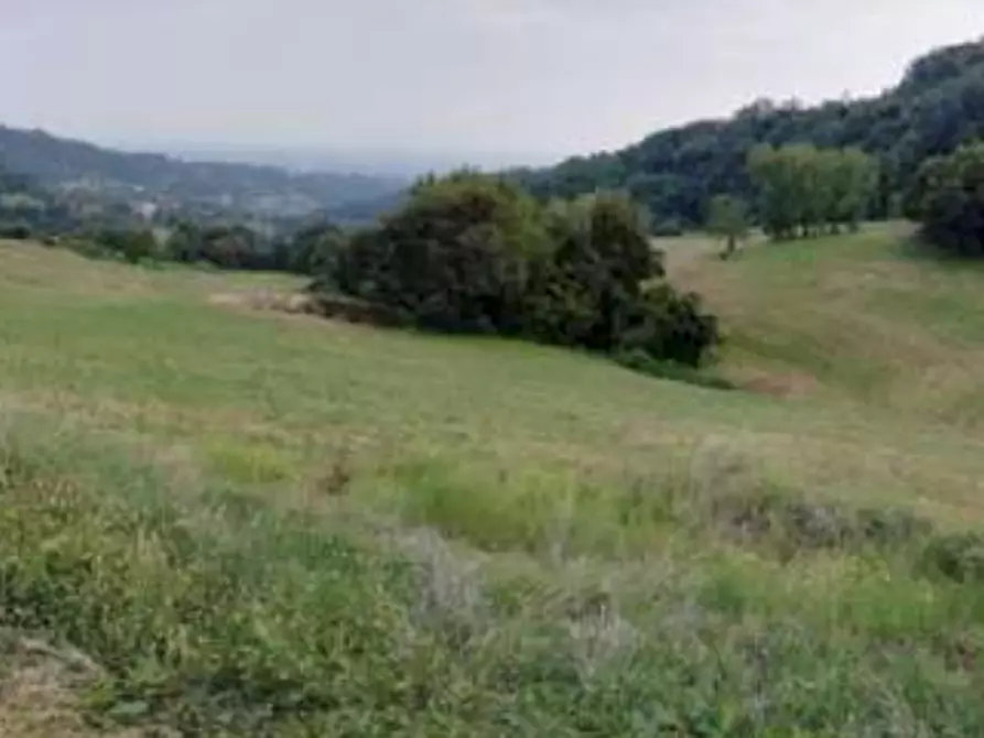 terreno agricolo in vendita a Salcedo