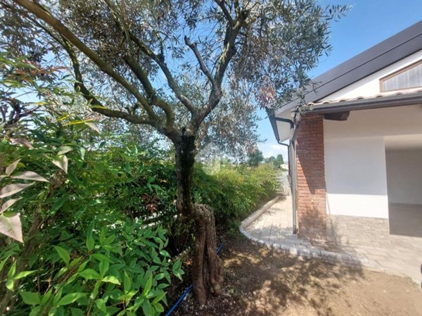 appartamento in vendita a Sandrigo in zona Ancignano