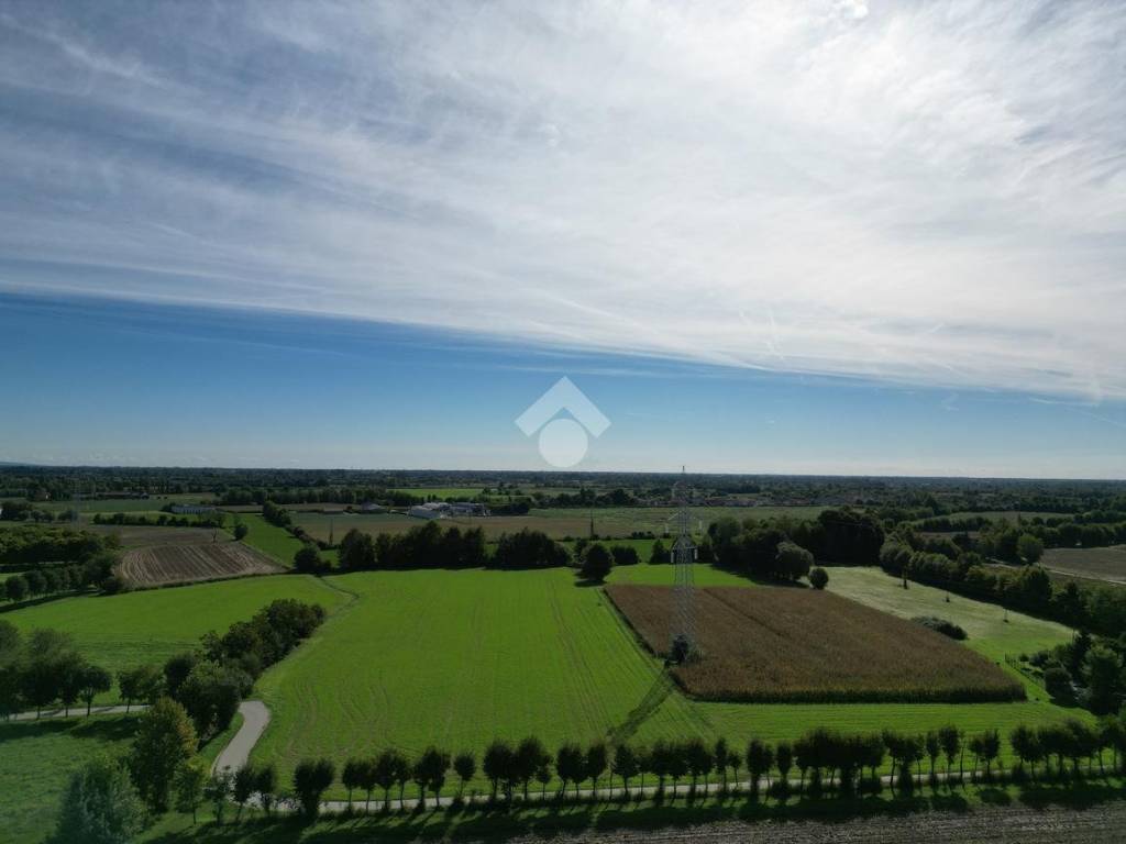 terreno agricolo in vendita a Sandrigo
