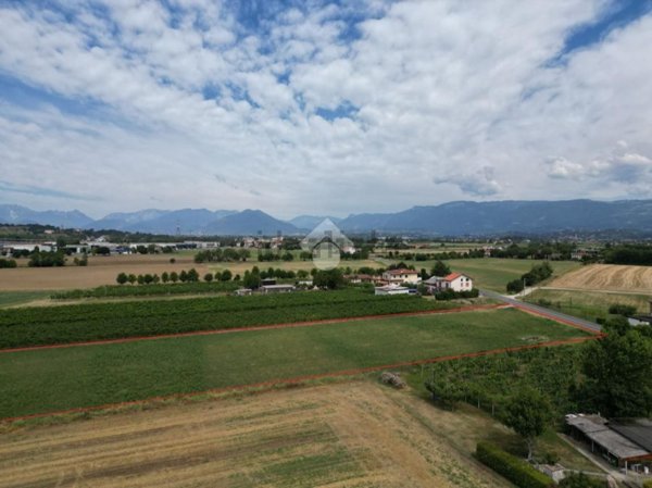 terreno agricolo in vendita a Sandrigo in zona Lupia