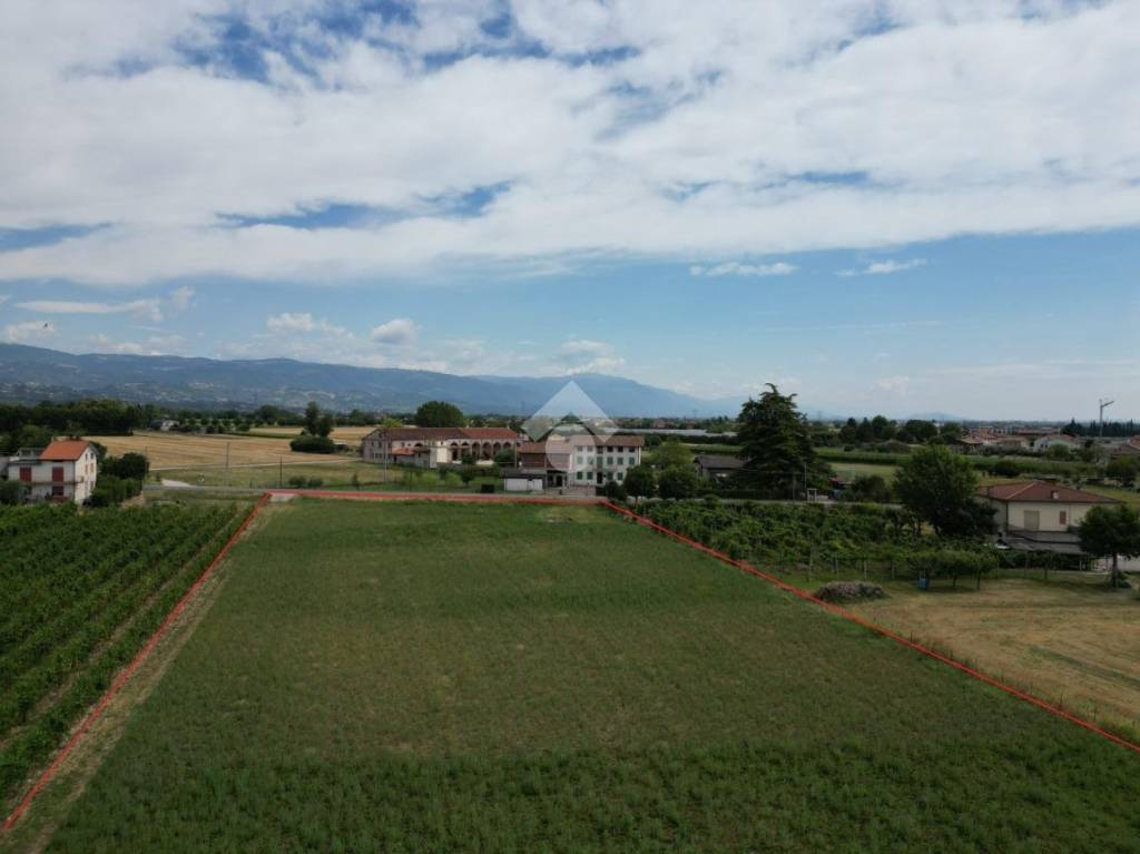 terreno agricolo in vendita a Sandrigo in zona Lupia